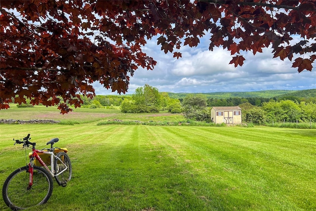 532 Wilbur Hill Rd, Unadilla, NY 13849 - view of green lawn
