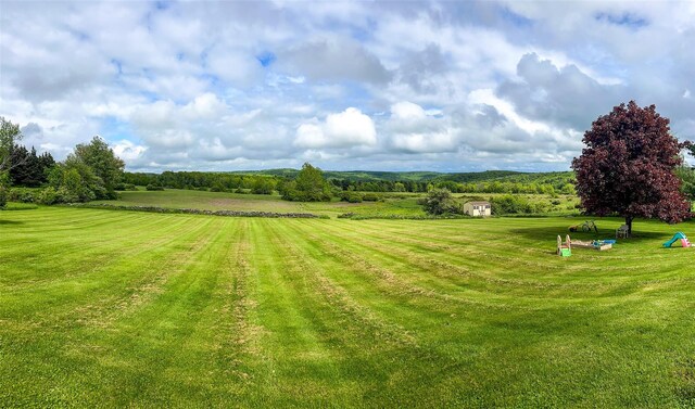 532 Wilbur Hill Rd, Unadilla, NY 13849 - view of green lawn with a rural view