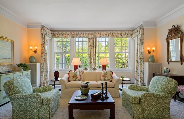 107 Quogue St, Quogue, NY 11959 - carpeted living area featuring plenty of natural light, crown molding, and radiator heating unit