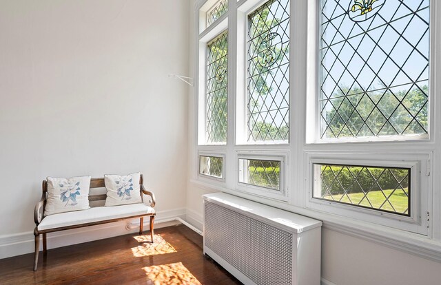 107 Quogue St, Quogue, NY 11959 - sitting room featuring radiator heating unit, healthy amount of natural light, and dark wood-style floors