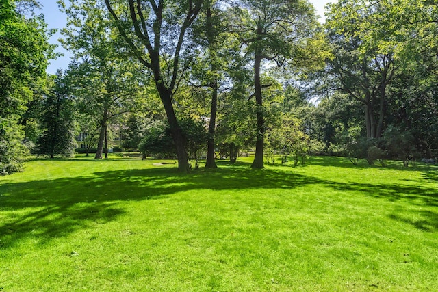 24 Wellington Rd, Locust Valley, NY 11560 - view of grassy yard