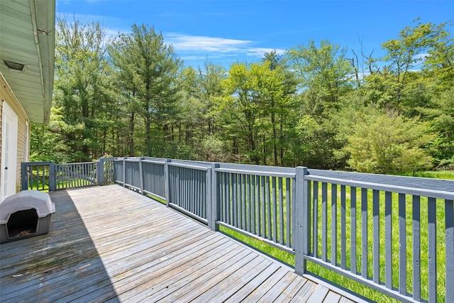 62 Stefanyk Rd, Eldred, NY 12737 - photo 29