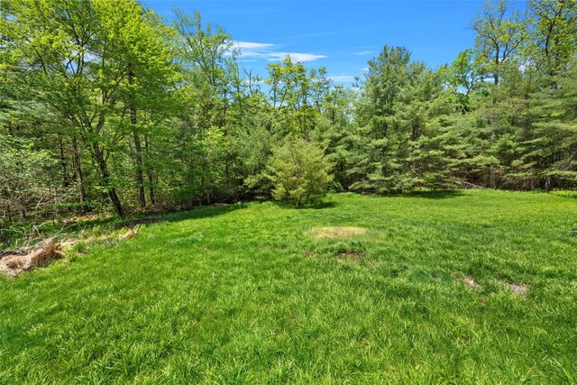 62 Stefanyk Rd, Eldred, NY 12737 - photo 33