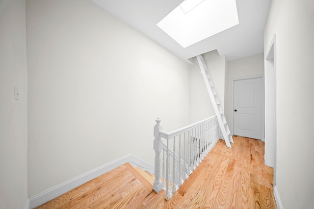 404 Logan St, Brooklyn, NY 11208 - photo 9
