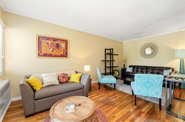 67-17 Eliot Ave, Middle Village, NY 11379