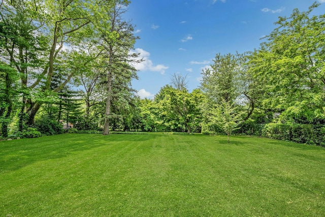 11 Oxford Rd, White Plains, NY 10605 - photo 37