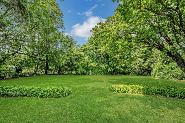 11 Oxford Rd, White Plains, NY 10605 - photo 38
