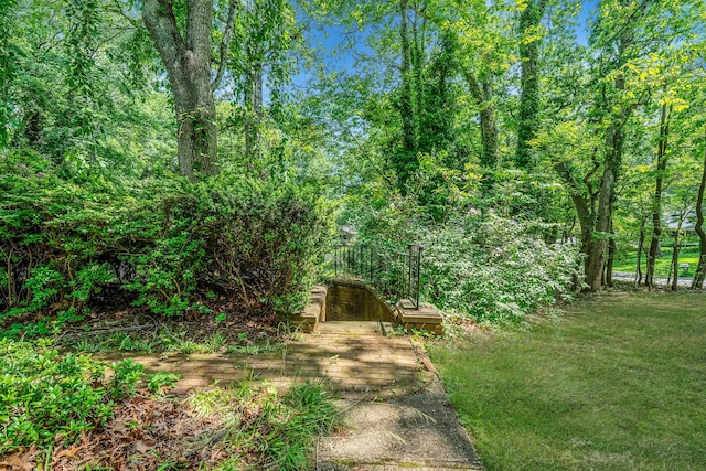 114 Oakwood Dr, Wading River, NY 11792 - view of grassy yard with a view of trees