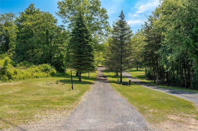 23 Wild Turkey Run, Wappingers Falls, NY 12590 - view of road