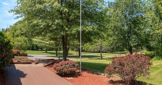 23 Wild Turkey Run, Wappingers Falls, NY 12590 - view of home's community with a yard