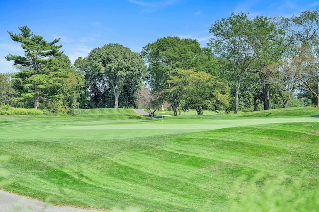 27110 Grand Central Pkwy Unit 11A, Floral Park, NY 11005 - view of property's community featuring view of scattered trees, a lawn, and view of golf course