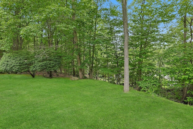 963 Heritage Hls Unit C, Somers, NY 10589 - view of green lawn