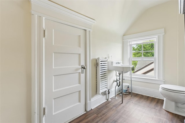 58 Garden St, Garden City, NY 11530 - foyer entrance featuring vaulted ceiling, dark wood finished floors, and radiator