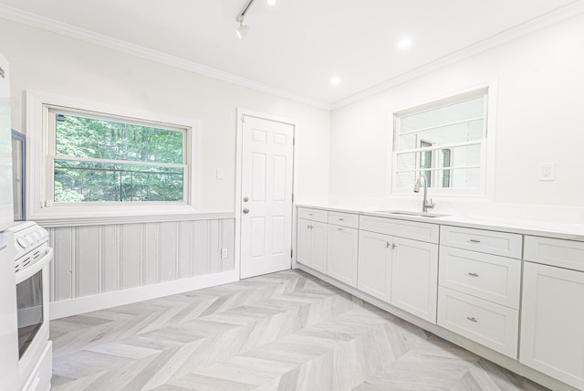 9 Higgins Trl, Monroe, NY 10950 - kitchen with a wainscoted wall, stove, light countertops, track lighting, and ornamental molding