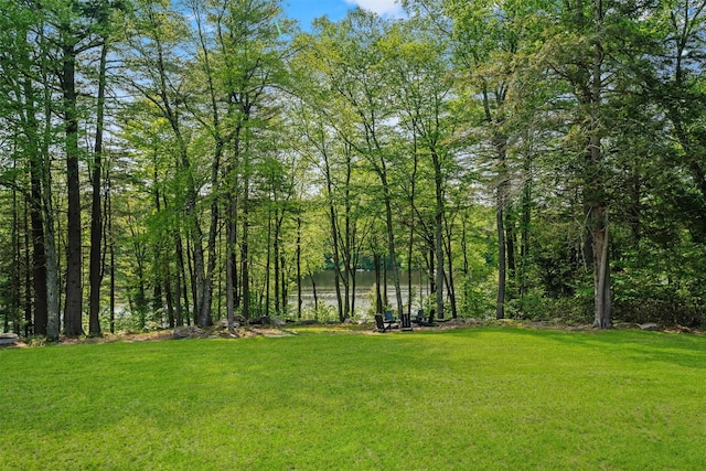 1775 Plank Rd, Forestburgh, NY 12777 - view of green lawn