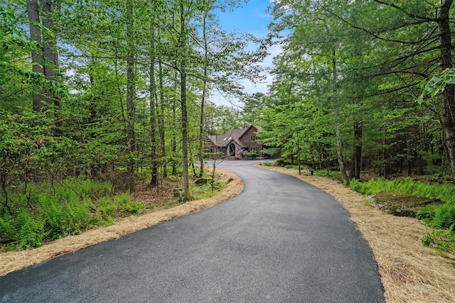 1775 Plank Rd, Forestburgh, NY 12777 - view of asphalt driveway