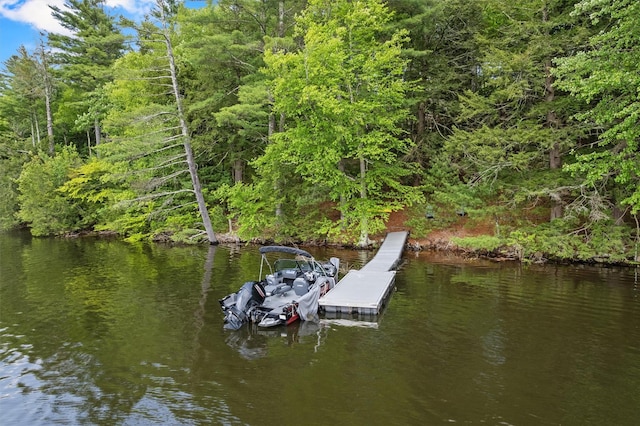 1775 Plank Rd, Forestburgh, NY 12777 - view of dock area