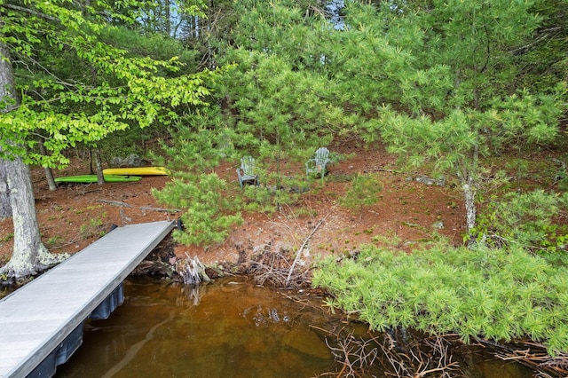 1775 Plank Rd, Forestburgh, NY 12777 - view of dock