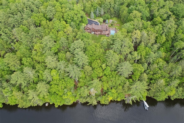 1775 Plank Rd, Forestburgh, NY 12777 - view of property location with a large body of water and a forest