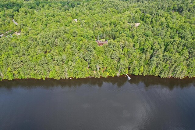 1775 Plank Rd, Forestburgh, NY 12777 - view of property location with a forest and a nearby body of water