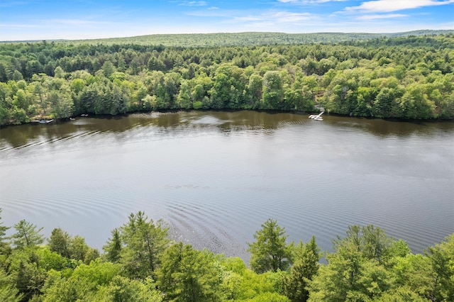 1775 Plank Rd, Forestburgh, NY 12777 - aerial view of a forest and a nearby body of water