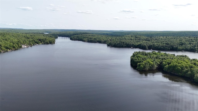 1775 Plank Rd, Forestburgh, NY 12777 - drone / aerial view of a large body of water