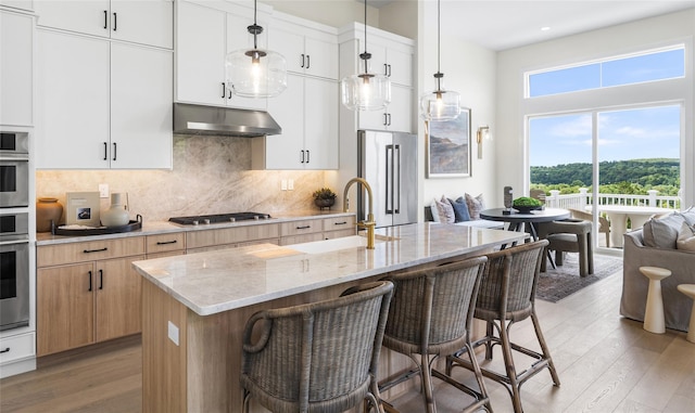 3502 Bennington Dr Unit 113, Fishkill, NY 12524 - kitchen with stainless steel appliances, under cabinet range hood, a sink, light wood finished floors, and recessed lighting