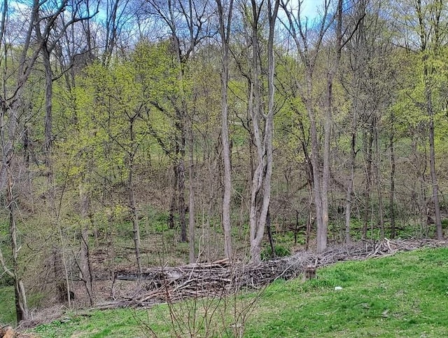 45 Scenic Hills Dr, Poughkeepsie, NY 12603 - photo 1