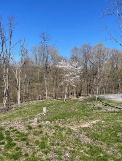 45 Scenic Hills Dr, Poughkeepsie, NY 12603 - photo 3