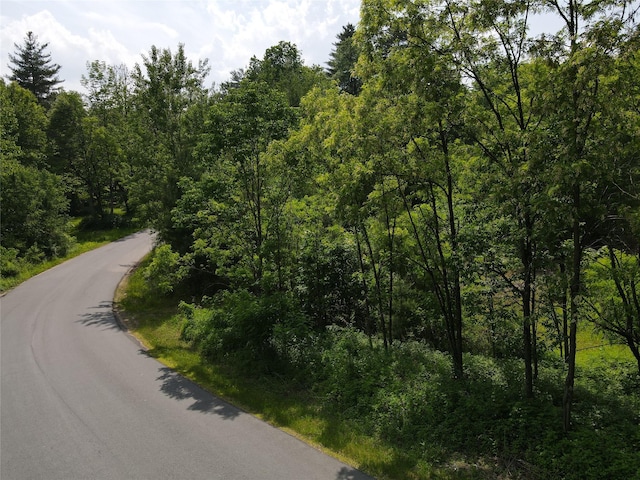 Gale Rd, Mongaup Valley, NY 12762