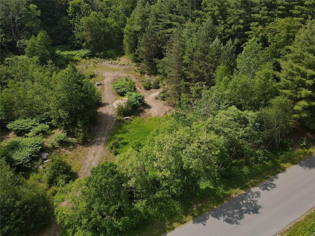 Gale Rd, Mongaup Valley, NY 12762