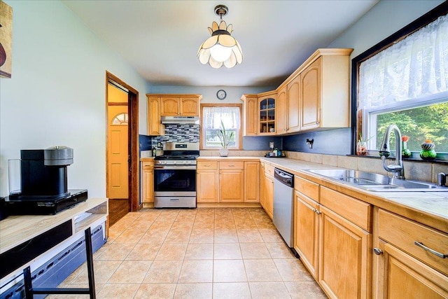 18 Gerow Ln, Cornwall, NY 12553 - kitchen with stainless steel appliances, under cabinet range hood, a sink, backsplash, and glass insert cabinets