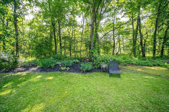 18 Gerow Ln, Cornwall, NY 12553 - view of grassy yard