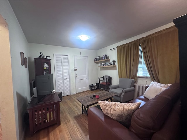 224-43A 64th Ave Unit 43A/545, Oakland Gardens, NY 11364 - living room with wood-type flooring and radiator heating unit