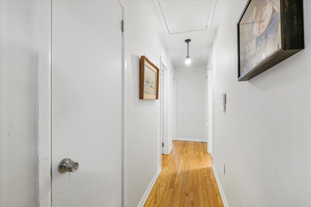 23 Johnson Ln, Millbrook, NY 12545 - hall with attic access and light wood-type flooring