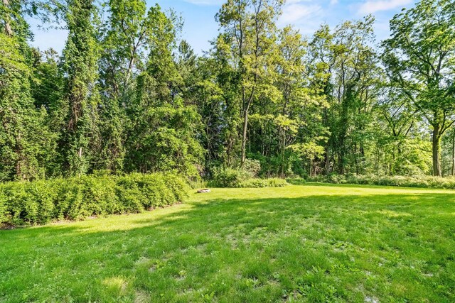 23 Johnson Ln, Millbrook, NY 12545 - view of green lawn featuring a forest view