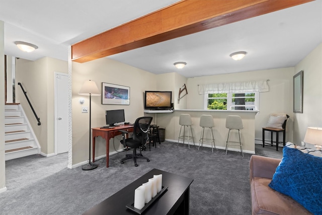 35 Highview Ave, Florida, NY 10921 - office area featuring carpet flooring and a baseboard heating unit