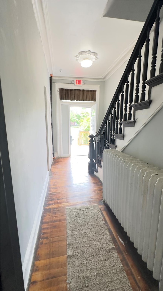 86 S Hamilton St, Poughkeepsie, NY 12601 - corridor with radiator heating unit, crown molding, stairs, and wood finished floors
