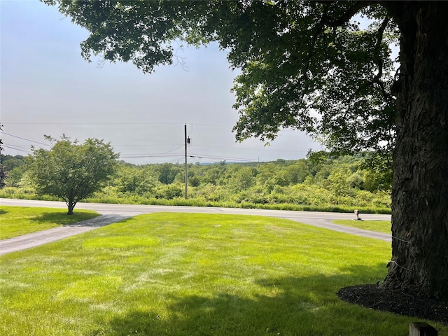 421 Orchard Dr, Wallkill, NY 12589 - view of property's community with a lawn