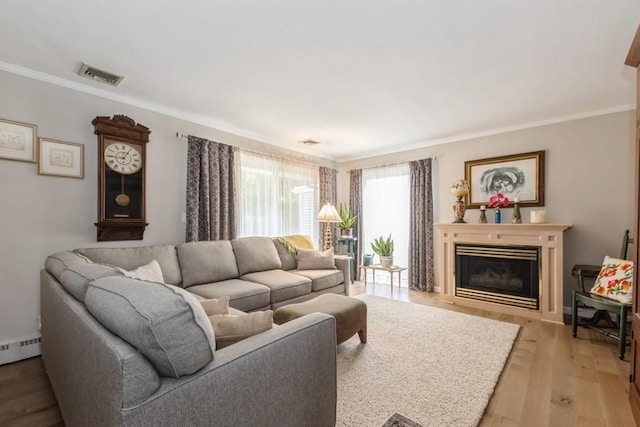12 Hazel Pl, Woodmere, NY 11598 - living room featuring crown molding, light wood finished floors, a glass covered fireplace, and baseboard heating