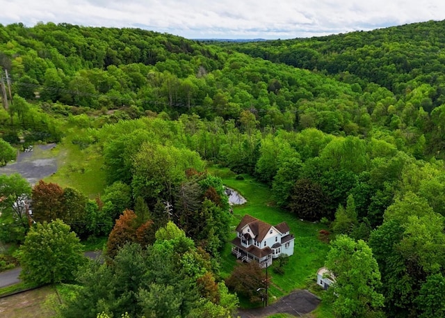 30 Station Hill Rd, Ferndale, NY 12734 - photo 1
