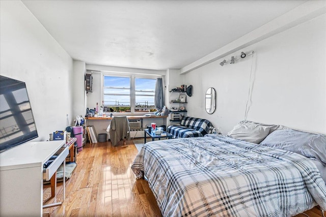 1655 Flatbush Ave Unit A1102, Brooklyn, NY 11210 - bedroom featuring light wood-type flooring