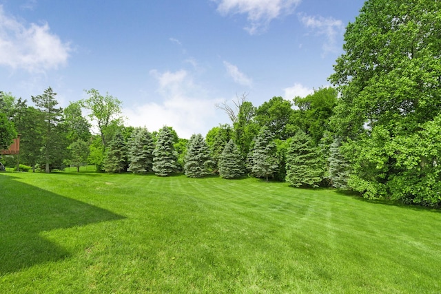 87 Dakota Dr, Hopewell Junction, NY 12533 - photo 46
