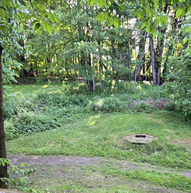 325 Hurleyville Main St, Hurleyville, NY 12747 - photo 2
