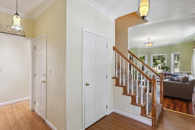 1771 Hanover St, Yorktown Heights, NY 10598 - stairway featuring crown molding and wood finished floors