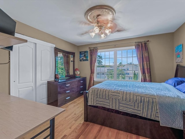 1674 Birch Dr, Merrick, NY 11566 - bedroom with multiple windows, light wood-type flooring, a ceiling fan, and a closet
