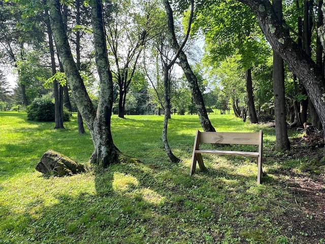 74 E Ridge Rd, Warwick, NY 10990 - surrounding community with a yard