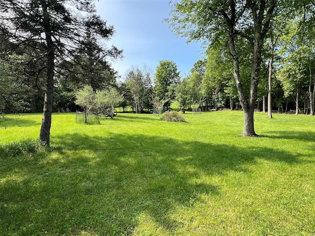 74 E Ridge Rd, Warwick, NY 10990 - view of green lawn
