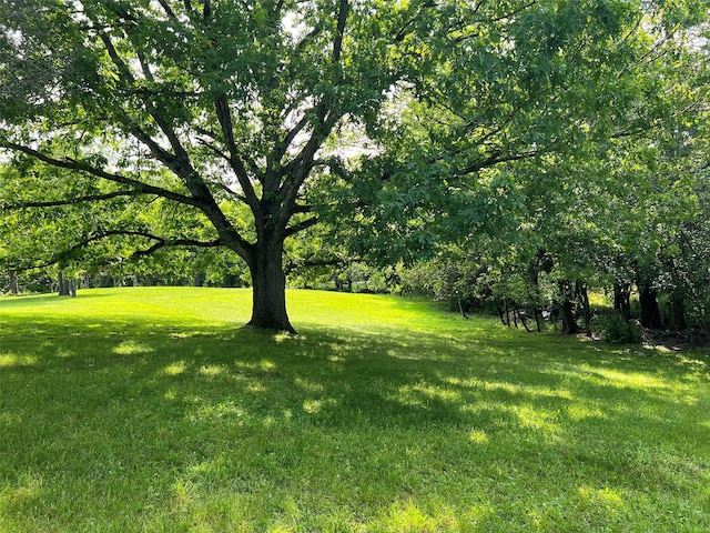 74 E Ridge Rd, Warwick, NY 10990 - view of green lawn
