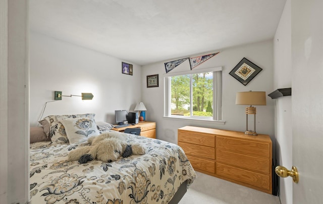 34 Oak Meadow Rd, Commack, NY 11725 - view of carpeted bedroom